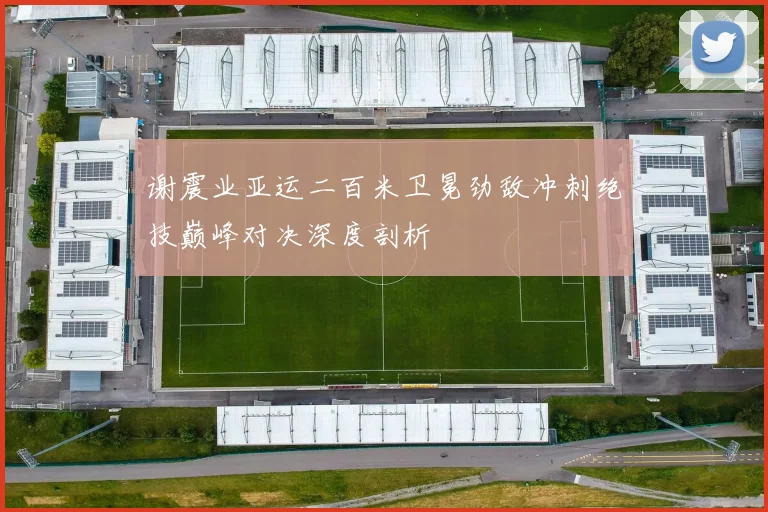 谢震业亚运二百米卫冕劲敌冲刺绝技巅峰对决深度剖析
